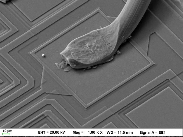 1637301252798415.png 新疆蔡司.png